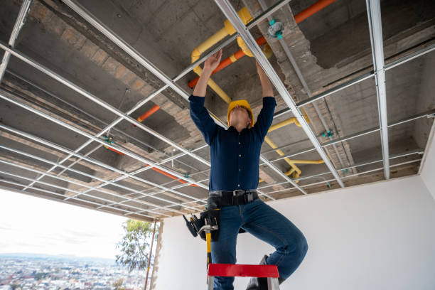 Best Plumbing Inspection Services  in Country Clu, MO